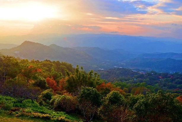 Thai_coffee_altitude_640x428